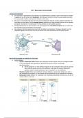 College aantekeningen Neuronale Regulatie - Neuronale en Hormonale Regulatie (AB_1168) 