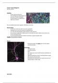 Neurobiology Course 7 Neuroimmunology 