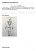 BTEC Applied Science Unit 8A - Musculoskeletal system (Distinction)