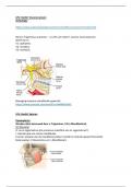 Anatomie en Radiologische Anatomie: LP6 samenvatting