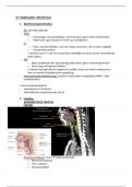 Anatomie en Radiologische Anatomie: LP7 radiologie samenvatting