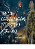 Tema 3. sistema nervioso, organización
