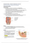 Orgaansystemen Nieren en urinewegen Practica