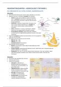 Neurowetenschappen Hoorcolleges en Zelfstudies Tentamen 1