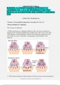 NURSING&colon; A CONCEPT-BASED APPROACH TO LEARNING VOL&period; 1 & 2&comma; 3E &lpar;PEARSON&rpar; 0134617061 MODULE 22-39 QUESTIONS AND CORRECT ANSWERS 2024