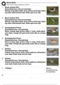 Shore Birds  exam 2024 
