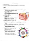 Antineoplastics Summary -  Pharmacology