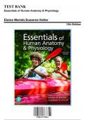 Test Bank - Essentials of Human Anatomy & Physiology 13th Edition, 13th Edition (Marieb, 9780137375561), Chapter 1-16 | Rationals Included