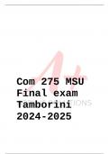 Com 275 MSU Final exam Tamborini 2024-2025