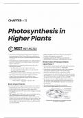 photosynthesis in higher plants summary notes  + mastering multiple choice questions + NCERT exemplar question + statement based questions + matching type questions  + assertion and reasons  all in one with brief explanation 
