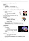 Samenvatting van alle colleges -  Drugs for the Central Nervous System (WBFA033-05)