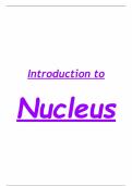 Introduction to Nucleus
