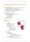 Anatomy: Introduction to the Cardiovascular system
