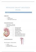 Pathologie urologisch stelsel 