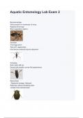 Aquatic Entomology Lab Exam 2 with complete solution