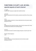 FUNCTIONS&lowbar; XI CLEFT&comma; LUO&comma; HE SEA&comma; special aspects of each channel