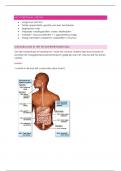 Het gastro - intestinaal stelsel