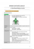 Samenvatting spieren bovenste lidmaat -  Functionele Anatomie: Extremiteiten en romp