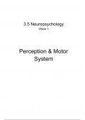 Perception & Motor Complete Summary - 3.6 Neuropsychology