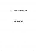 Lecture Notes - 3.6 Neuropsychology