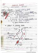  Human Anatomy notes on parotid gland with diagram 