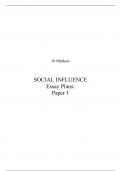 A* 16 marker - Social influence - Every question possible