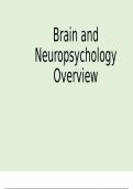 brain and neuropsychology 