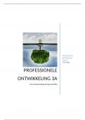 Professionele Ontwikkeling Verantwoordingsverslag en portfolio 3A Social Work Voltijd HR