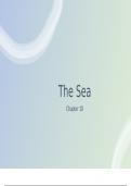 The Sea- Geography 