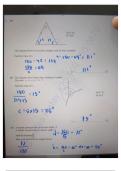 Solved igcse math questions and answers 