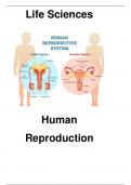 Human reproduction 