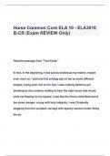 Home Common Core ELA 10 - ELA3010  B-CR (Exam REVIEW Only)