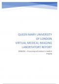 Medical Imaging Report - Biomedical Engineering (EMS620U) 