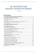 H8: mesoderm and neuroectoderm patterning samenvatten prof Zwijsen