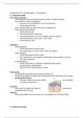 Anatomie & fysiologie 1 