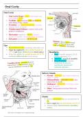 Head Anatomy Summary Notes for Dentistry (Year 1)