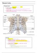 Anatomy of the Respiratory System Summary Notes for Dentistry (Year 1)