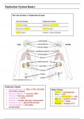 Endocrine Physiology Summary Notes for Dentistry (Year 1)