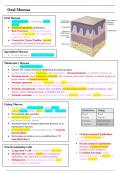 Oral Biology Summary Notes for Dentistry (Year 1)