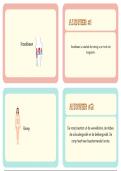 Flashcards Biologie over het lichaam