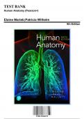 Test Bank for Human Anatomy (Pearson+), 9th Edition by Brady, 9780135206195, Covering Chapters 1-29 | Includes Rationales