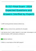 IS-317 Final Exam2024 Expected Questions and Answers &lpar;Verified by Expert&rpar;