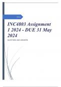 INC4803 Assignment 1 2024 - DUE 31 May 2024