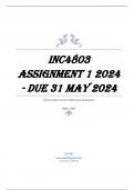INC4803 Assignment 1 2024 - DUE 31 May 2024