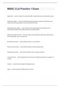 MSSC CLA Practice 1 Exam