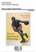 Test Bank: Human Anatomy & Physiology, 10th Edition by Marieb - Chapters 1-29, 9780321927026 | Rationals Included