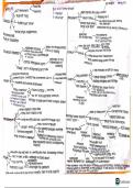 AQA A LEVEL HISTORY: THE TUDORS mindmap notes, comparing monarchs (society, economy, rebellions and government)