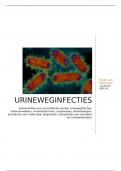 Samenvatting Urineweginfecties - B08LDE