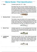 Maine Guide - Fish Identification.
