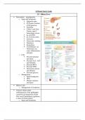 Med-surg II exam 4 study guide